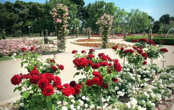 Garten der Viveros in Valencia.
