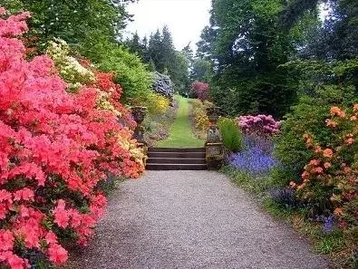 Garten mit Blumen und Bäumen
