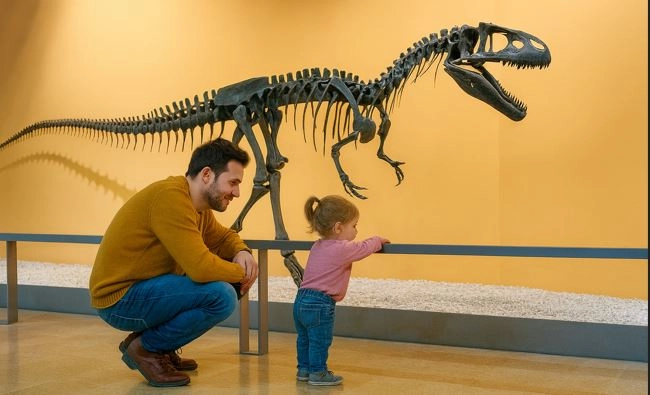 Dinosaurierskelett im Naturkundemuseum Valencia