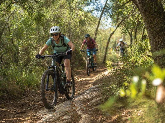 Drei Mountainbiker fahren auf einem Waldweg zwischen Bäumen und Vegetation.