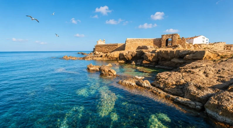 Küste der Insel Tabarca mit Möwen, die über dem Meer fliegen.