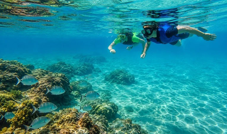 Zwei Touristen beim Schnorcheln in den Gewässern der Insel Tabarca in Alicante